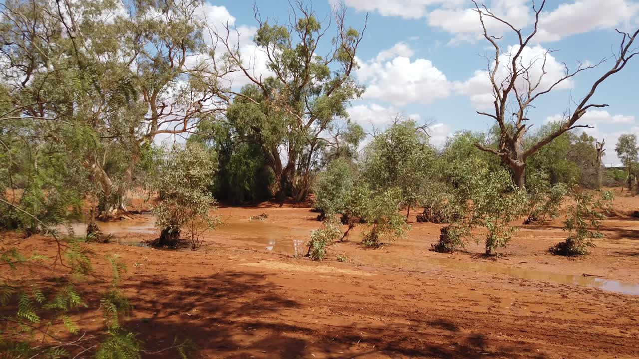 agua en el lecho seco del arroyo después de la lluvia