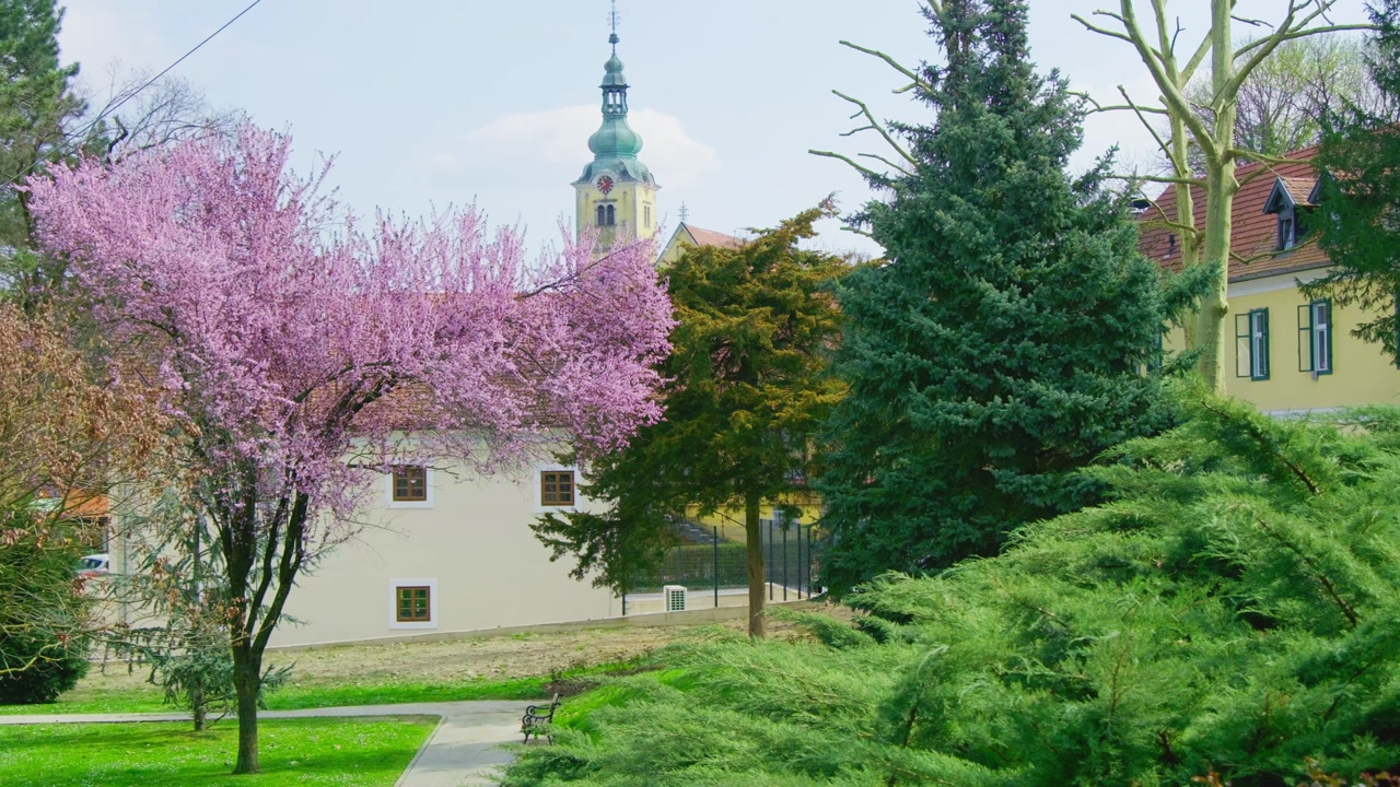 Quiet spring scene at Samobor’s Castle Wiesner park with blooming trees and the nearby church under warm sunlight, captured with no people for a peaceful atmosphere.
