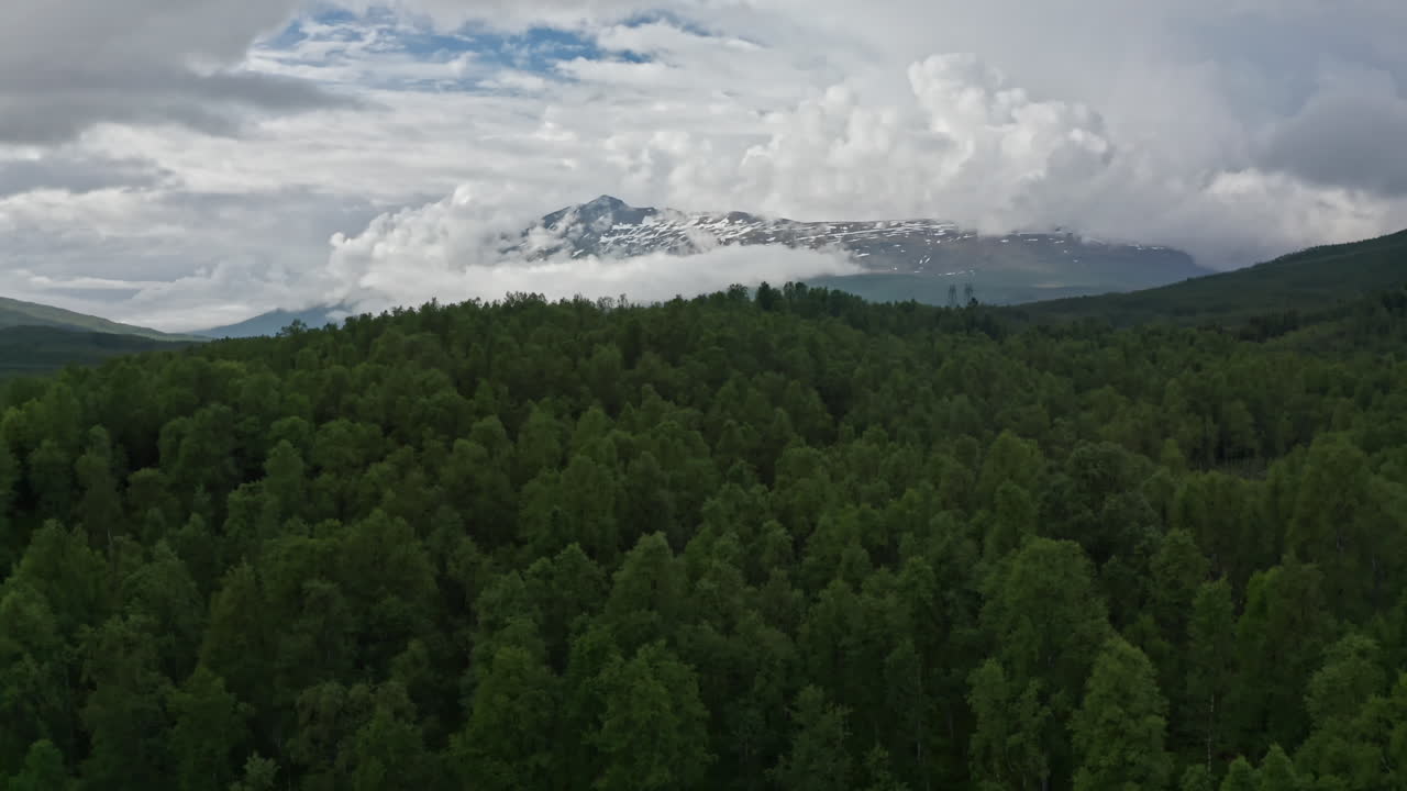Aerial drone over the green majestic landscape in the Lofoten Islands, Norway.