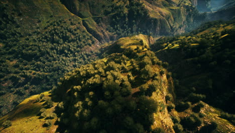 Tropenwald-Im-Morgendlichen-Blick-Auf-Das-Malaysische-Hochland