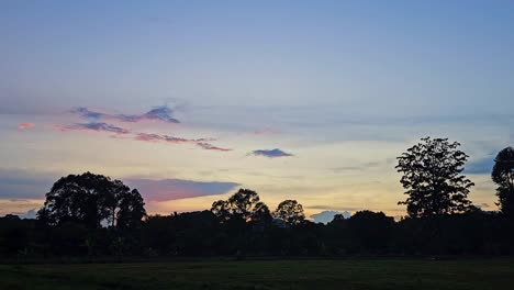 puesta de sol sobre un campo con árboles