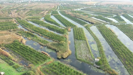 beautiful drone shot, river and beautiful nature