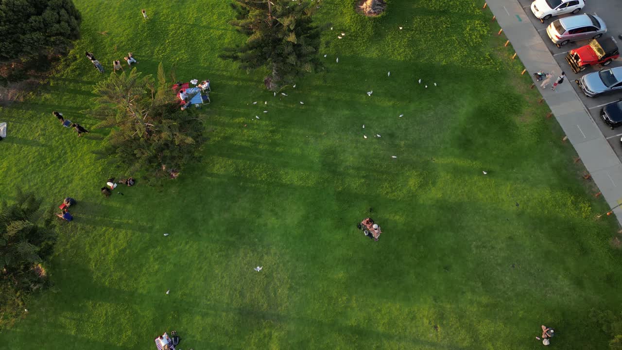 la gente se relaja en el prado verde del parque south beach en fremantle en australia con pájaros volando por encima