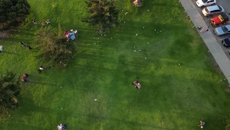 People-relax-on-green-meadow-of-South-Beach-Park-in-Fremantle-in-Australia-with-birds-flying-overhead