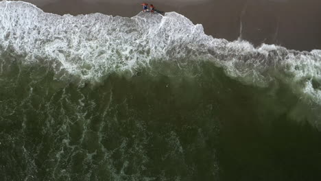 using a drone camera, lowered crane shot over shoreline, over flying birds - people on the shore of the beach below in new york