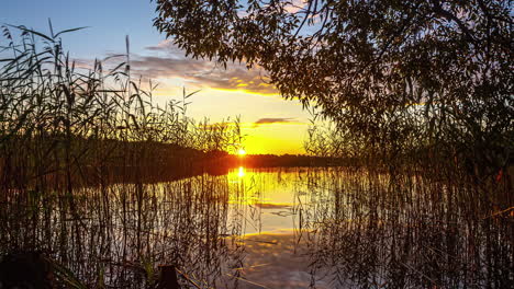 vibrant sunlight with reflection illuminated at tranquil lake during sunrise