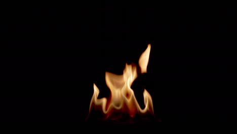 fuego