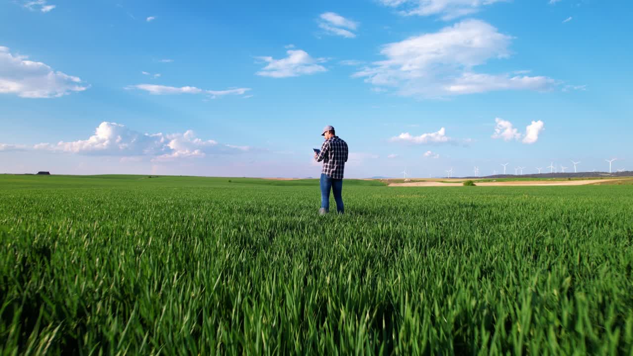 воздушный зум в виде фермера, использующего цифровой планшет и наблюдающего за урожаем пшеницы на крупномасштабной овощной ферме. высококачественный 4k кадр