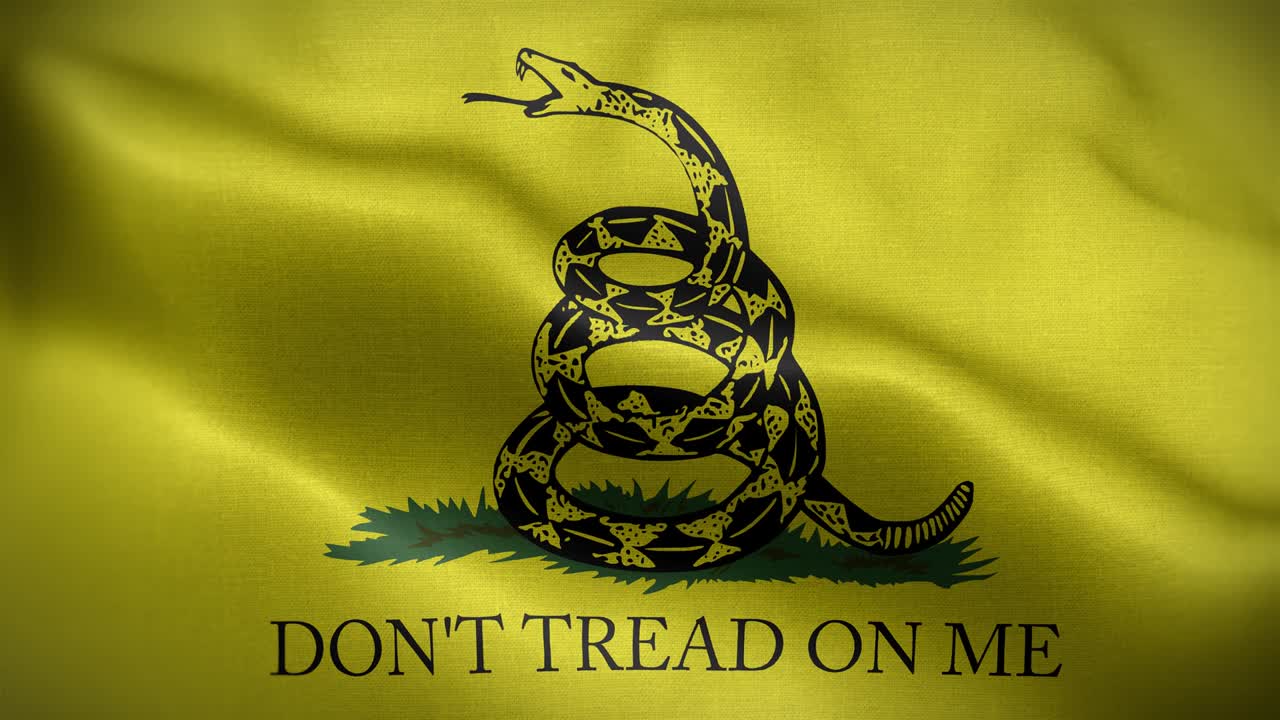 Gadsden USA Flag Loop Background 4K