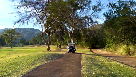 golf cart travels through lush, picturesque landscape