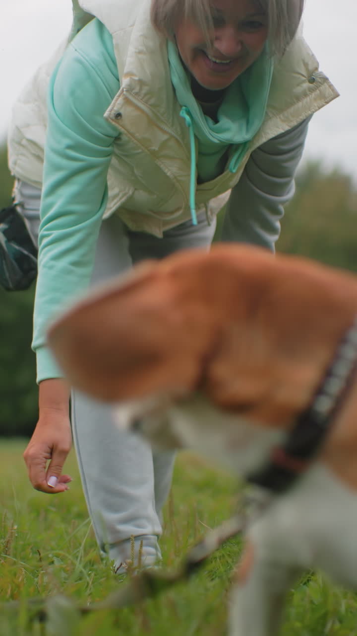 민트색 후드티와 크림색 조끼, 회색 운동복을 입은 백인 여성이 초원에서 비글을 쓰다듬고 있어요. 온화한 손길로 머리를 쓰다듬고 있고, 꼬리를 흔들고 있으며, 목줄은 느슨하게 잡고 있어요. 탁 트인 풀밭과 흐린 하늘, 나무가 늘어선 배경이 보입니다.