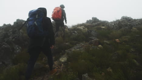 caminar es la mejor medicina del hombre.