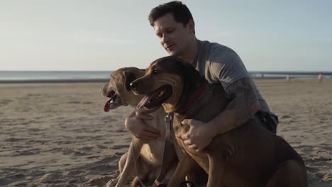 man petting his two dogs on the beach in slow motion.