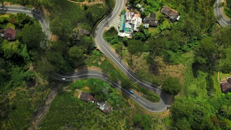 over-view-of-a-road-and-tea-plantations---Nuwara-Eliya---Sri-Lanka