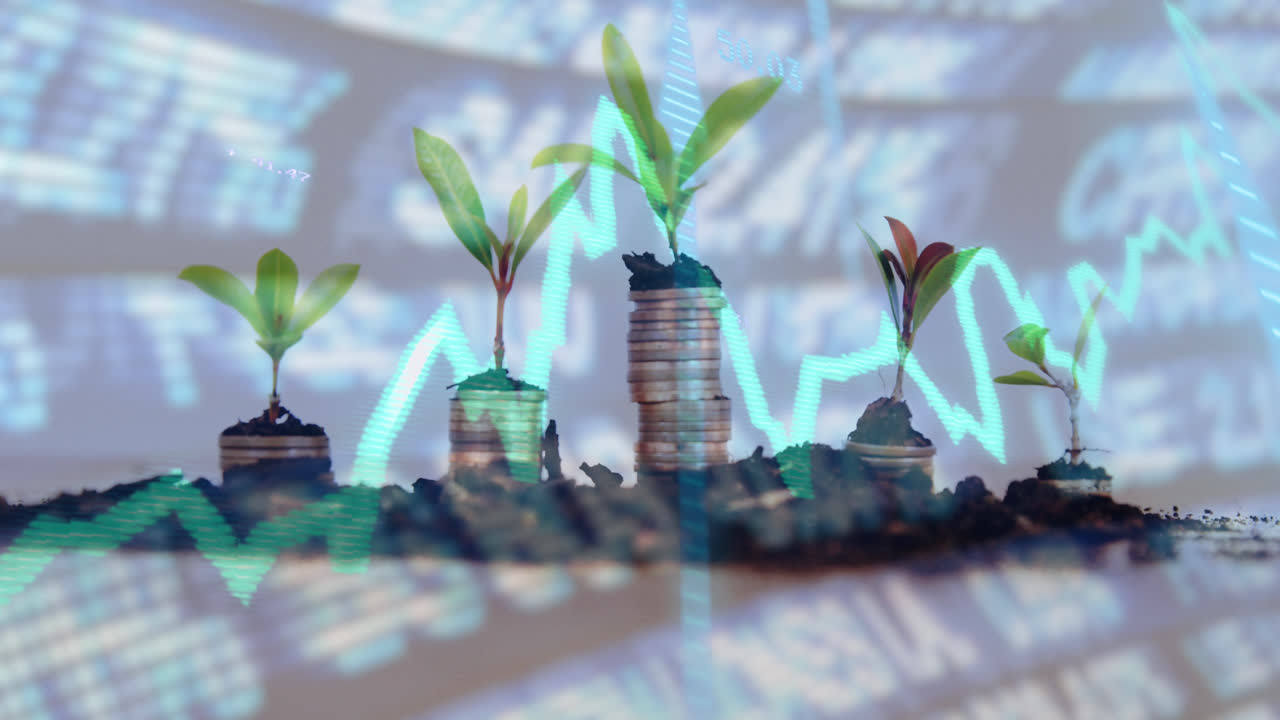 animación del procesamiento de datos sobre plantas y monedas