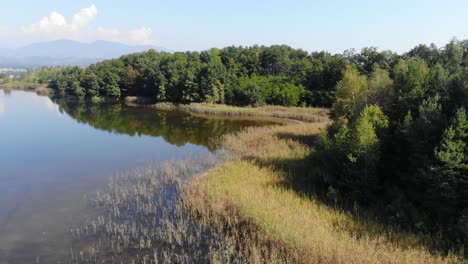 Orilla-Del-Lago-Contaminada-Utilizada-Para-La-Eliminación-De-Productos-Químicos-Industriales,-Plataforma-Rodante-Aérea-A-La-Vista