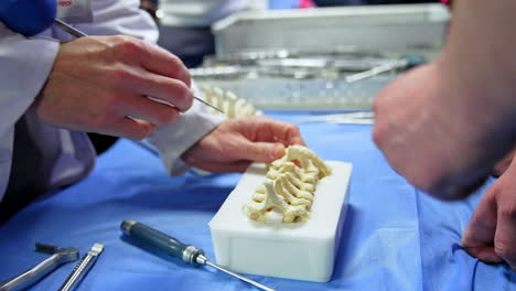 male hands in white robe hold the tool and touch the model of a spine. student's hand points at model. neurosurgery training. close up.