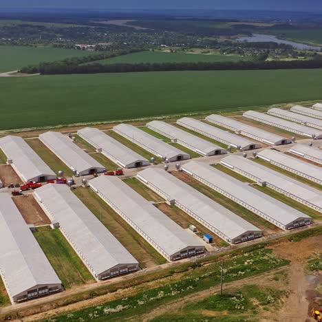 aerial view over the poultry farms