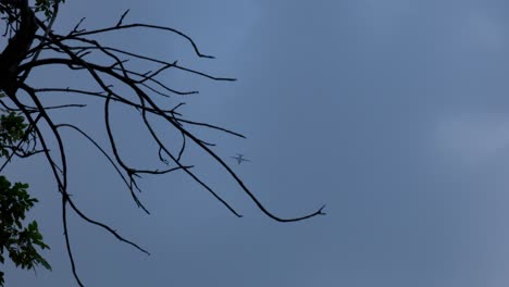 Seen-behind-a-silhouette-of-thick-leaves-and-bare-branches-flying-in-blue-dark-sky-before-dark,-Turbo-Prop-airplane,-Bangkok,-Thailand