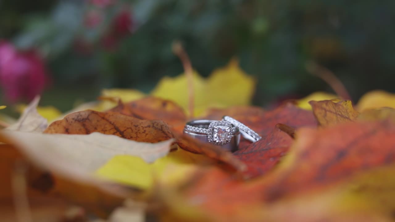 Diamond ring a top autumn leaves