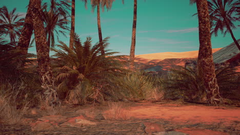 a beautiful oasis with palm trees in the middle of a vast desert landscape