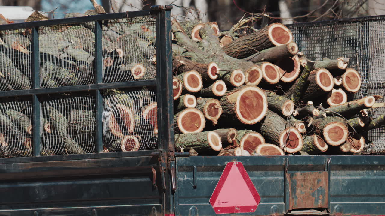 Wide shot of a trailer filled with logs moving through a park on a sunny day