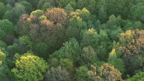 parque oakwood en kaunas, lituania
