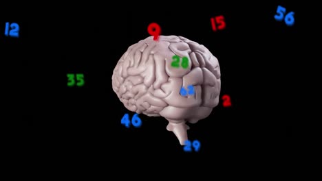 animación de números que cambian con el giro del cerebro humano