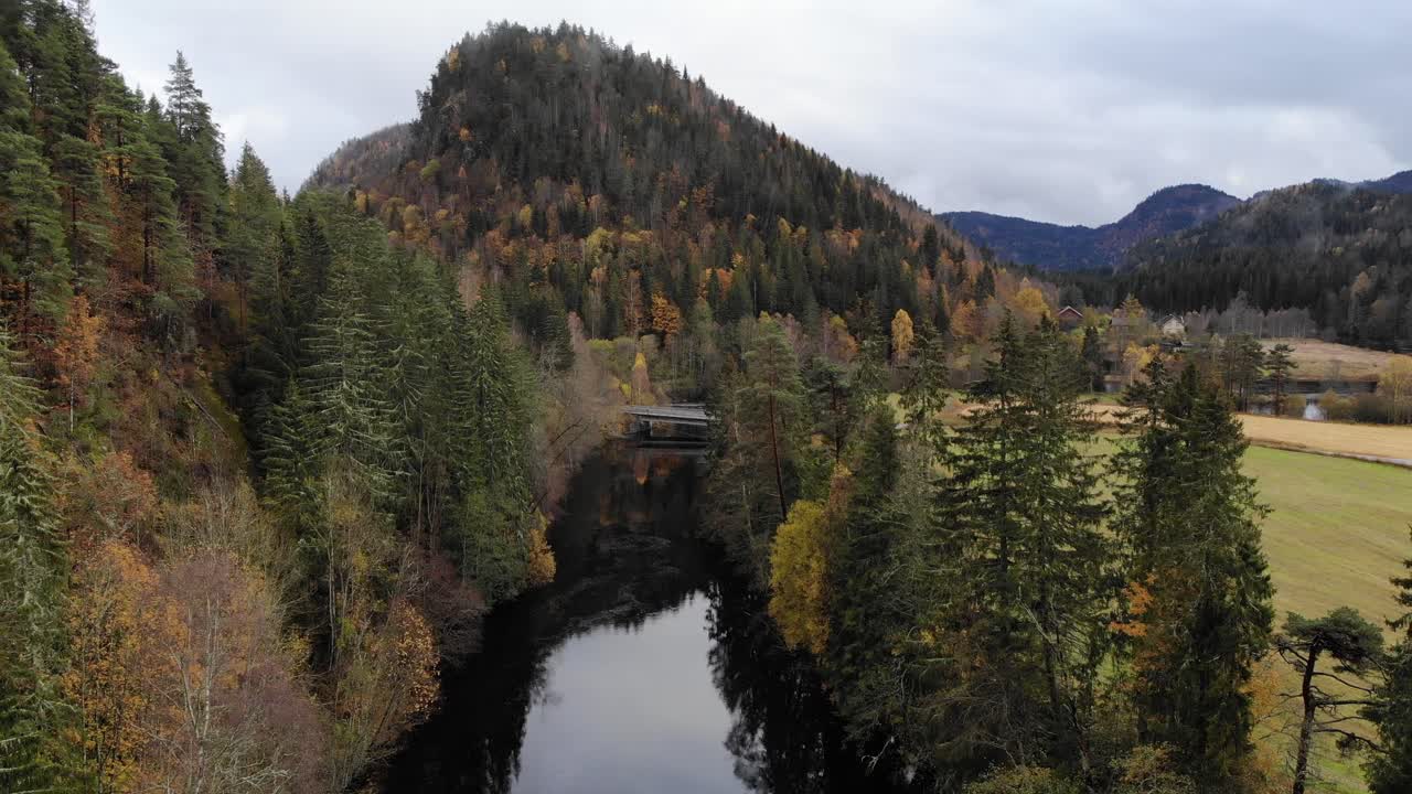 Filmato panoramico con drone di un fiume nel bosco e colline in autunno