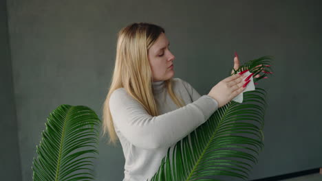 woman cleaning a palm plant