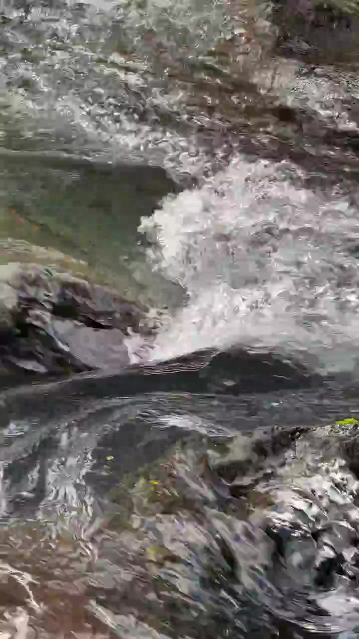 Limpido torrente di montagna che scorre su rocce scure