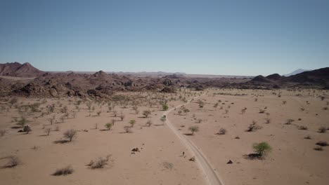 safari truck driving in sparsely vegetated arid landscape