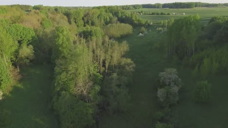 Narrow-Stream-Overgrown-with-Trees-and-Shrubs-a-Sunny-Summer-Morning