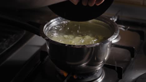 person adding potatoes to a pot of boiling water - steady shot