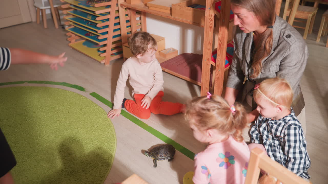 Overhead view of kids sitting on floor observing tortoise crawling across classroom while teacher kneels nearby, guiding special child with hearing aid in striped shirt pointing excitedly at reptile