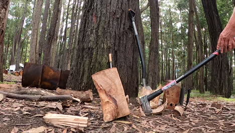 chopping wood for a campfire in the bush