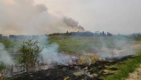 Forest-wildfire-in-the-distance-as-prescribed-fire-burns-along-hillside-protecting-road