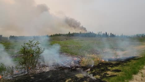 incendio forestal en la distancia como prescrito quemaduras de fuego a lo largo de la carretera de protección de la ladera