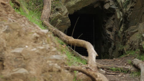 Tunnel-carved-into-the-rock-face-during-the-gold-rush-era