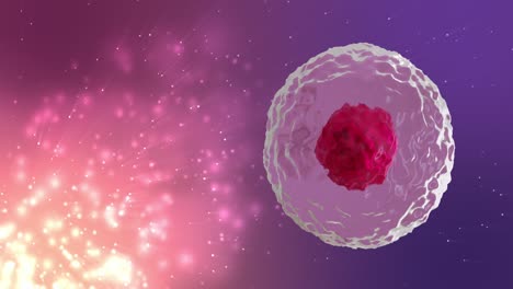 Animation-of-micro-of-red-and-pink-cells-over-pink-and-purple-background