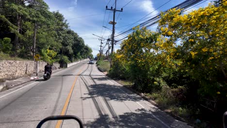 pov from a songthaew on a sunny road in koh tao, thailand. lush greenery lines the road, creating a vibrant travel scene in this tropical paradise.