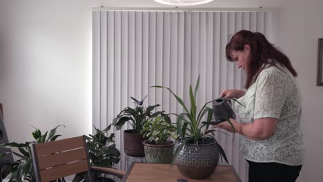 middle aged caucasian woman watering house plants