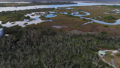 volando a través del bosque pantanoso en el sur de florida hermoso río matanzas en la distancia