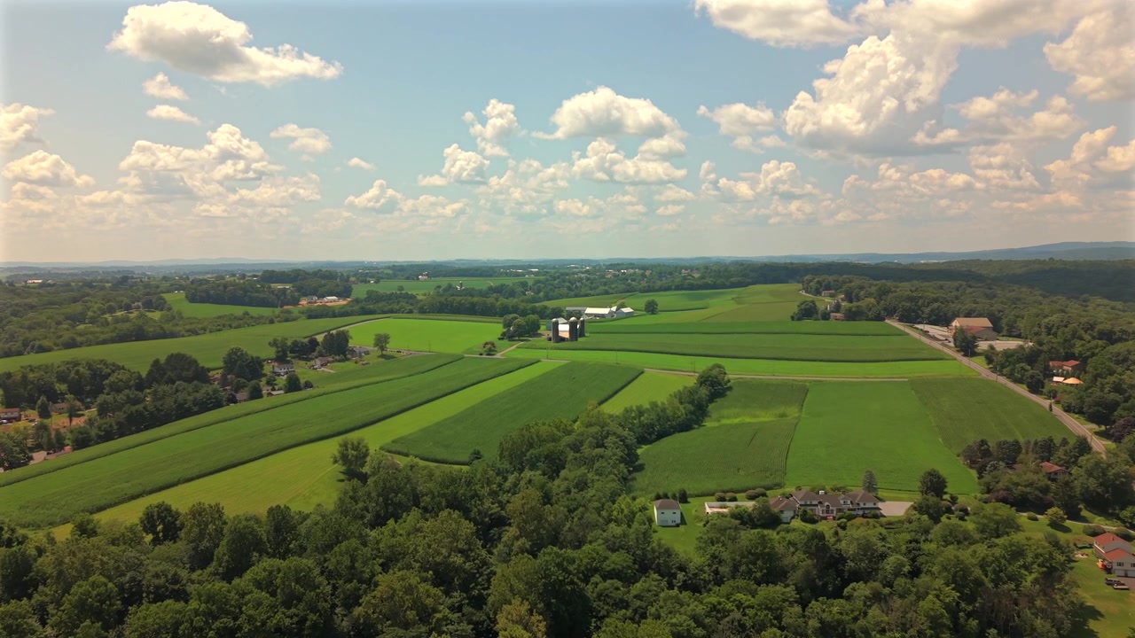 Veduta aerea dall'alto su campi agricoli verdi e ondulati e paesaggio rurale in una giornata di sole.