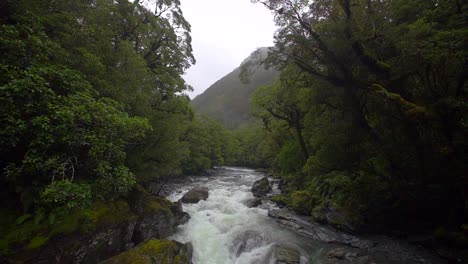 fast flowing river in jungle