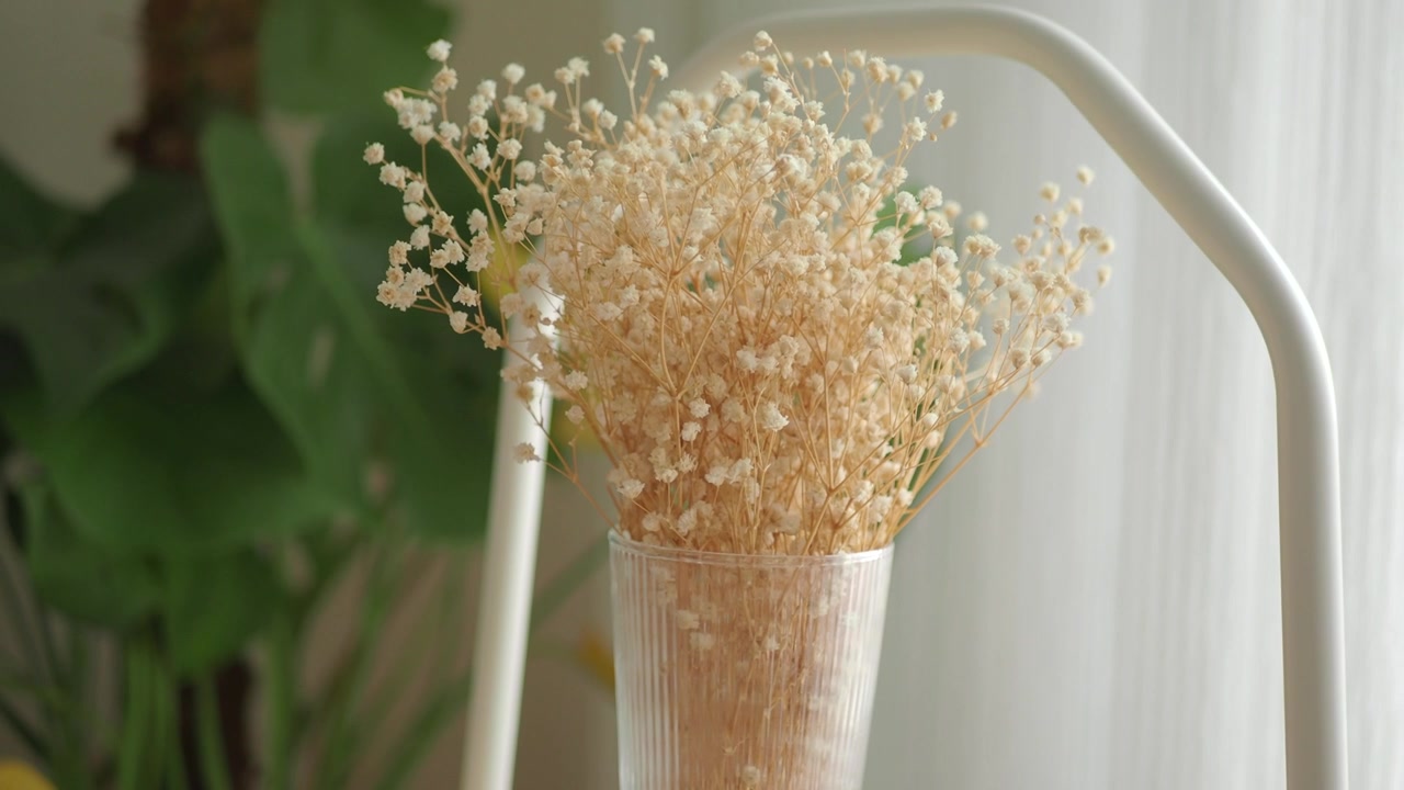Dried Baby's Breath Flowers in a Glass Vase with Natural Light