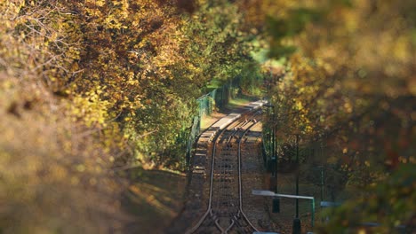 a cable car on the petrin hill park in park framed by the colorful autumn trees