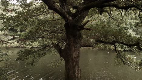 walking through a reservoir