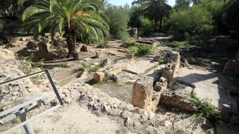 día soleado en las antiguas ruinas romanas en cartago con exuberante vegetación