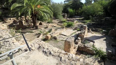 sunny day at ancient roman ruins in carthage with lush greenery